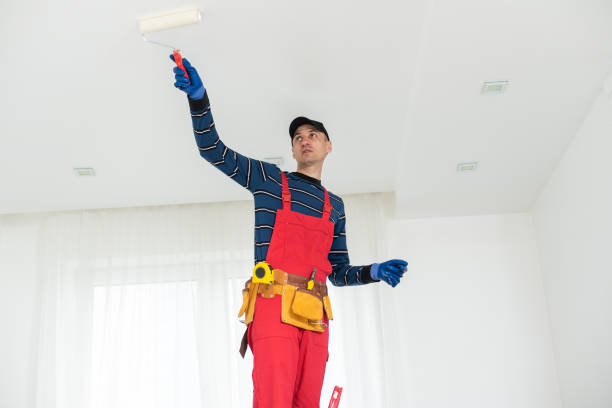 Best Forensic Mold Investigation  in Nolanville, TX